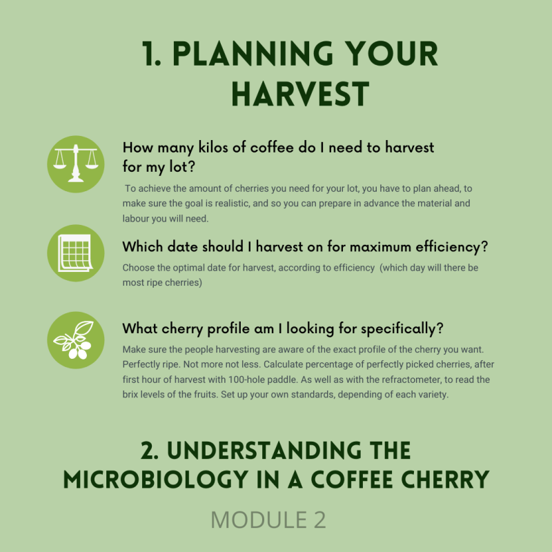 Molecular Coffee: A Master Class - Image 3