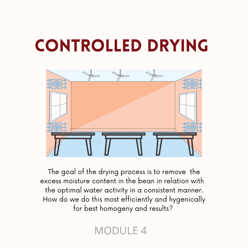 Molecular Coffee: A Master Class - Image 4