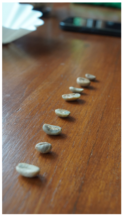 Marc's Coffees Roastery - Coffee Flowers