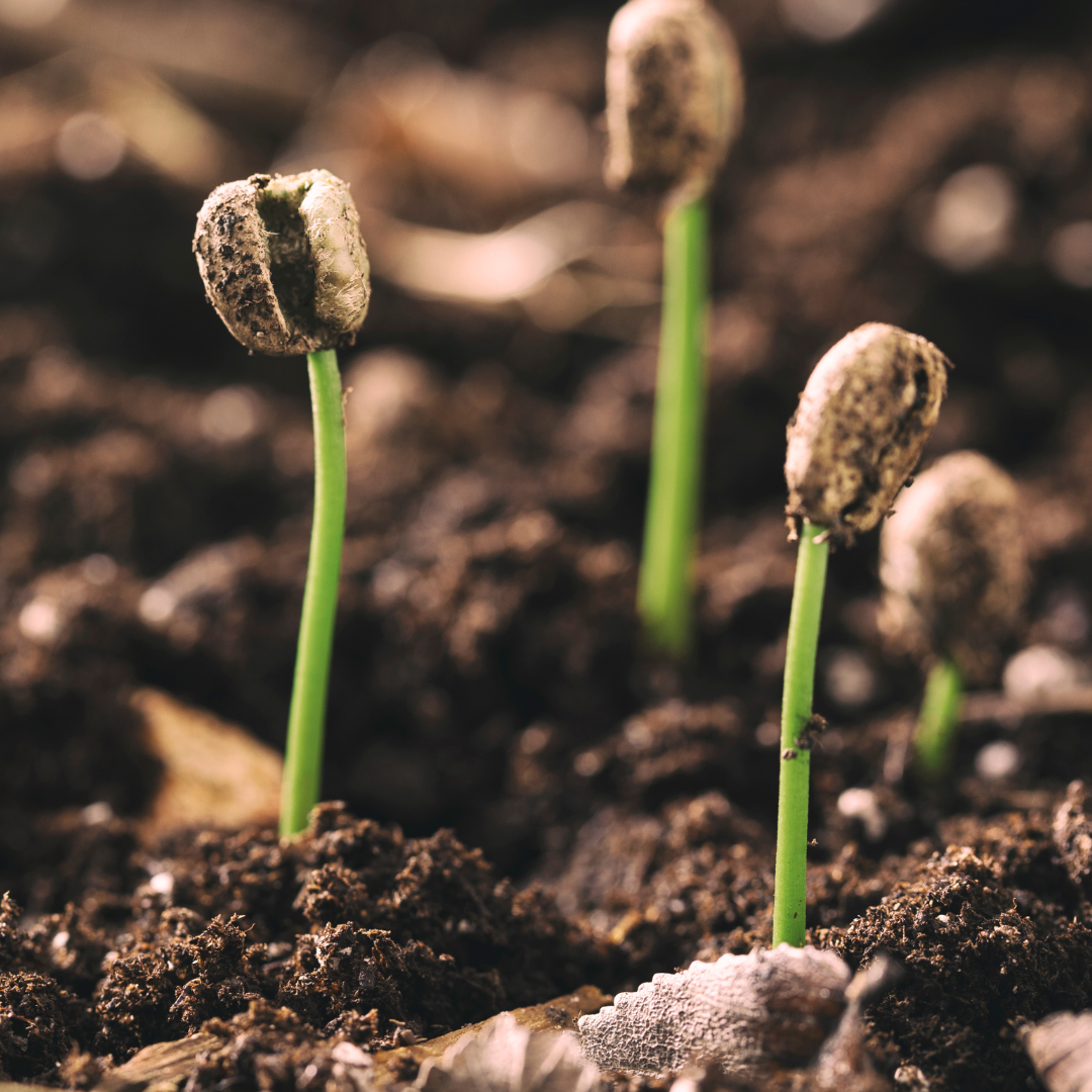 Untitled design 25 1 -- Coffee Ideas