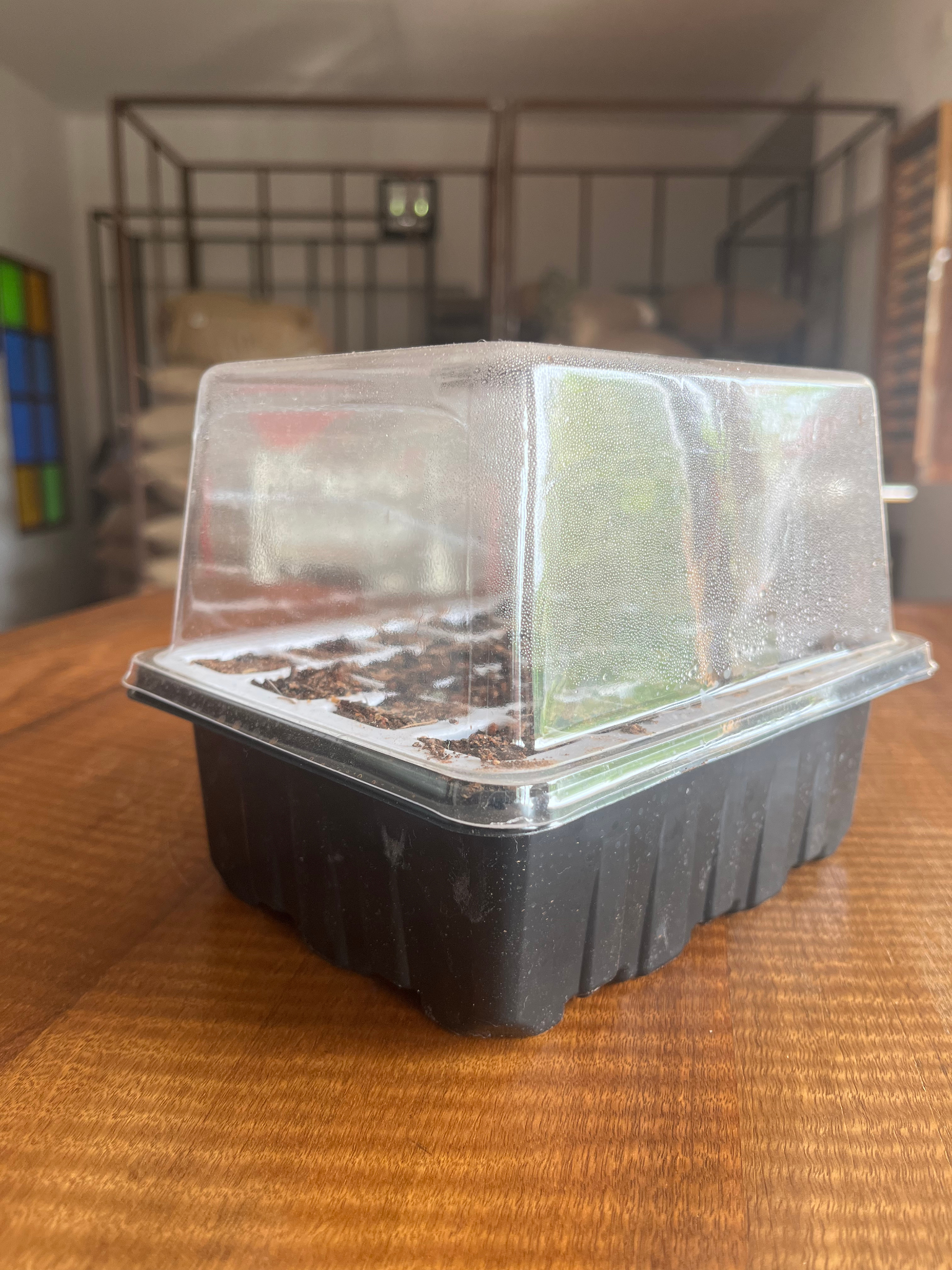 Untitled design 26 -- Coffee Ideas