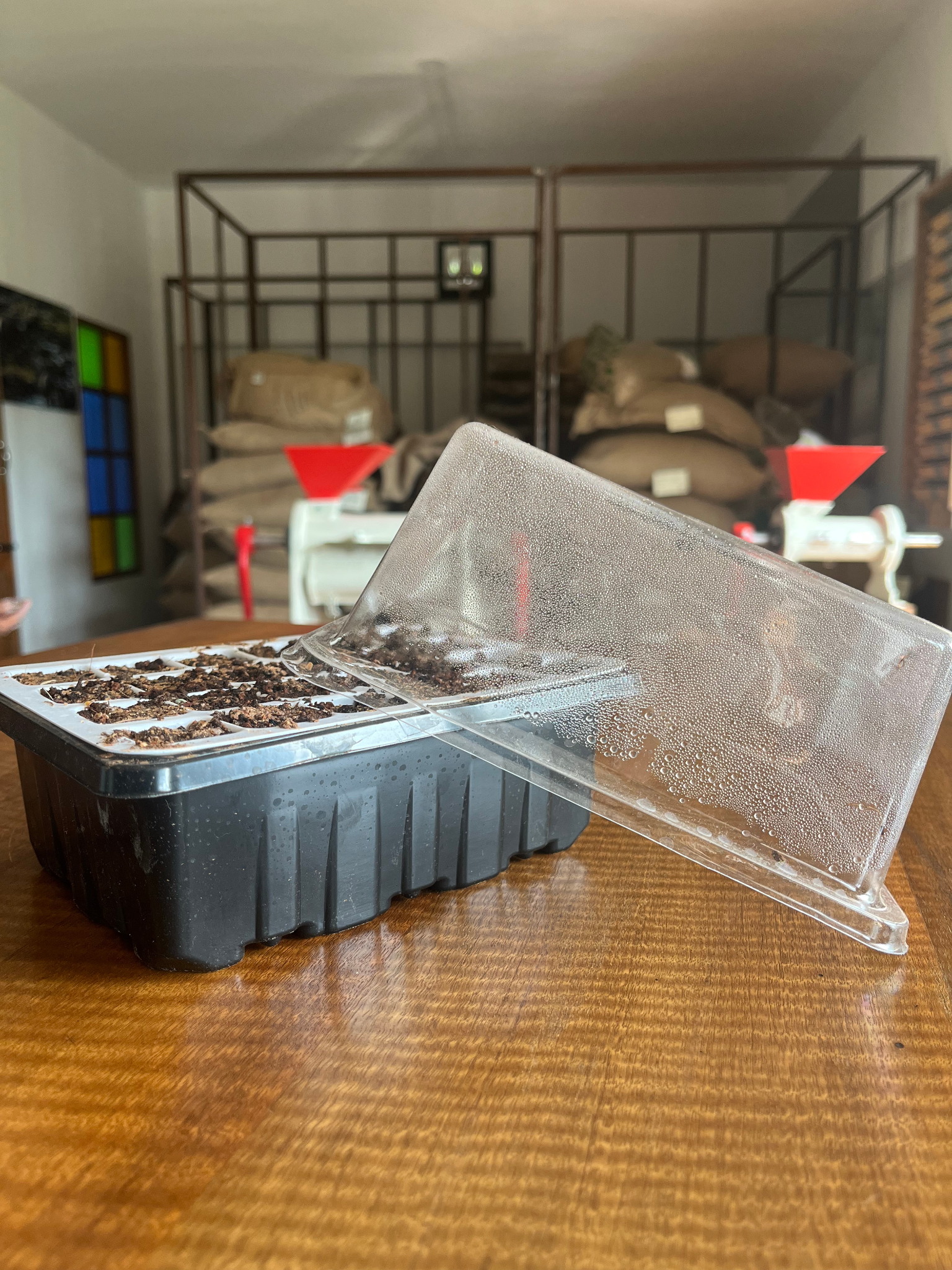 Untitled design 27 -- Coffee Ideas