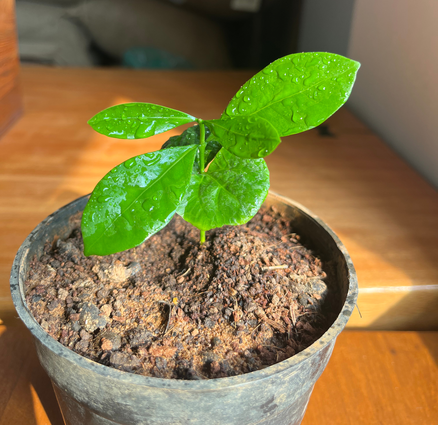 Untitled design 28 e1696840329289 -- Coffee Ideas