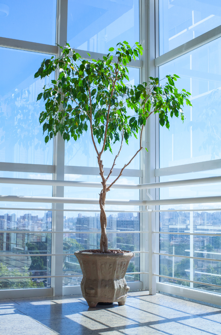 Untitled design1 e1696840436726 -- Coffee Ideas