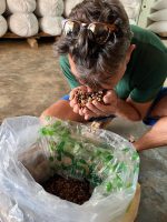 Christmas Spirit - Image 4