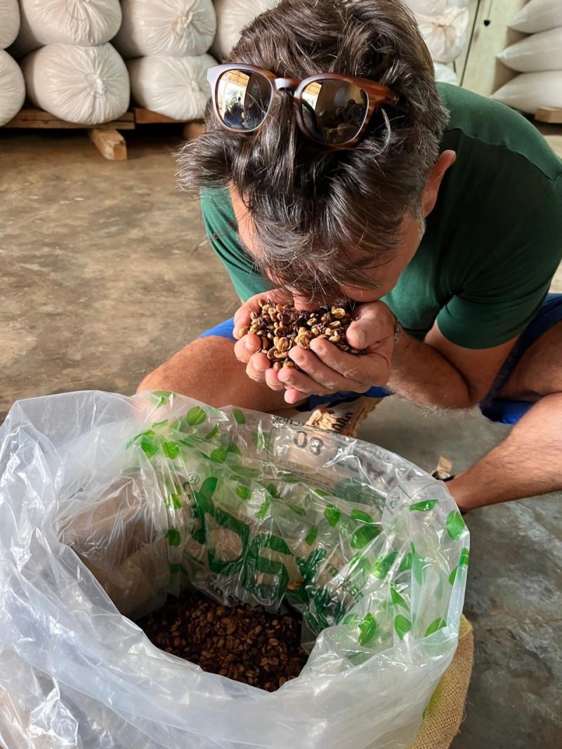 Christmas Spirit - Image 4