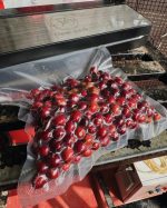 Skia Surprise - Image 4