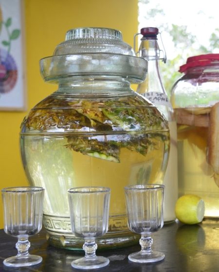 Guided Fermentation Workshop: A journey into living foods