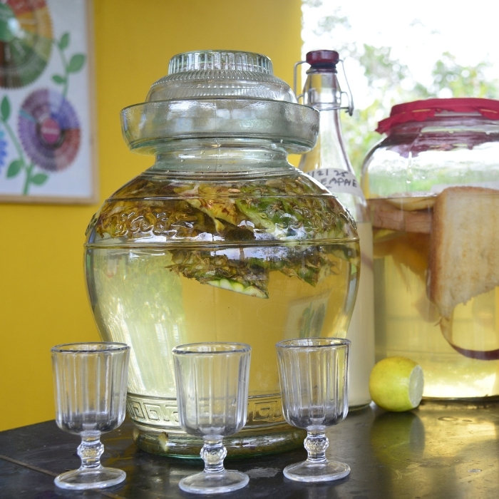 main image Guided Fermentation Workshop: A journey into living foods - Image 1