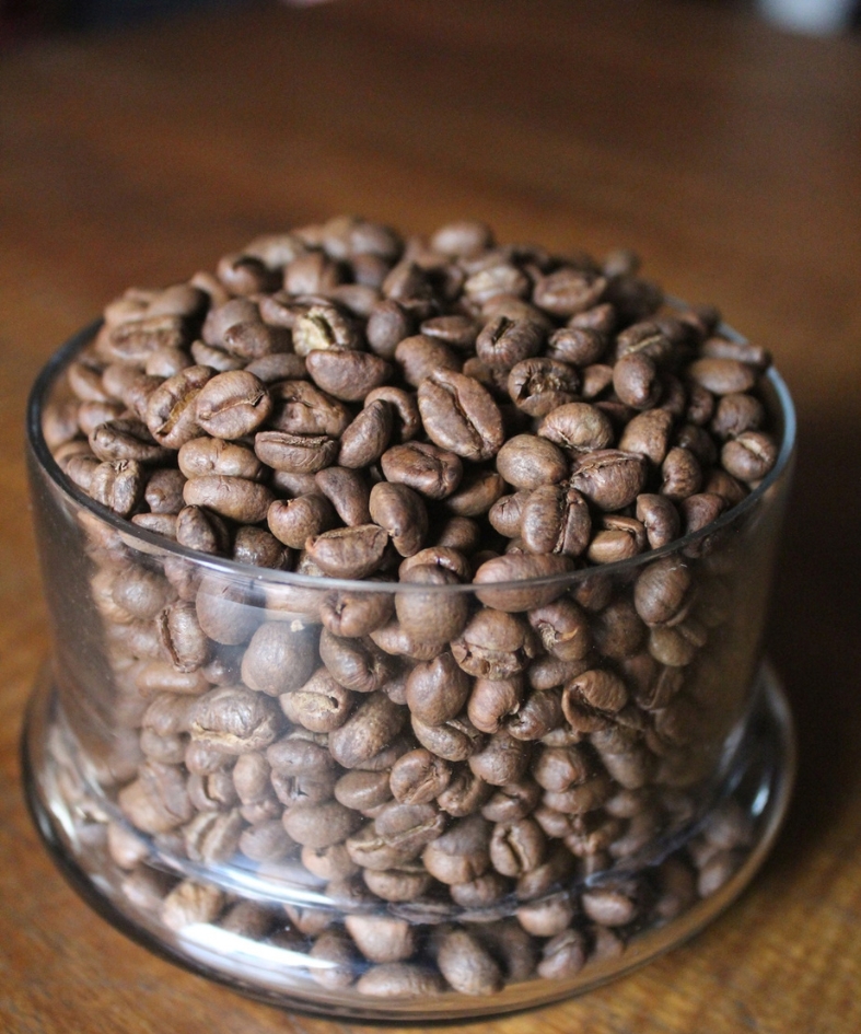 ExcelsaMain image - Product Gallery Image Excelsa Coffee - Image 1