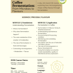 Coffee Fermentation: From Microbes to Flavours