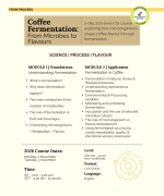 Coffee Fermentation: From Microbes to Flavours