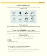 Coffee Fermentation: From Microbes to Flavours - Image 3