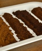 Foundations of Roasting - Image 5