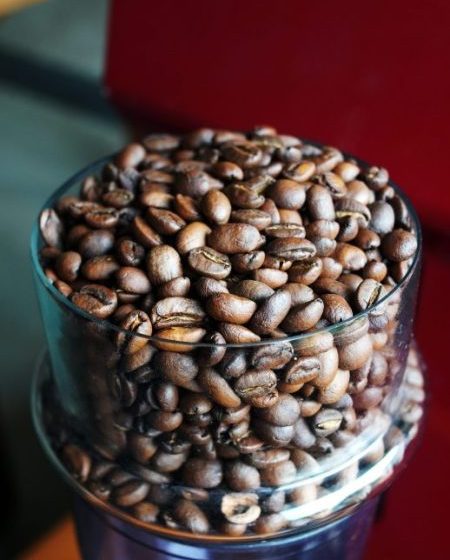 Genesis Blend