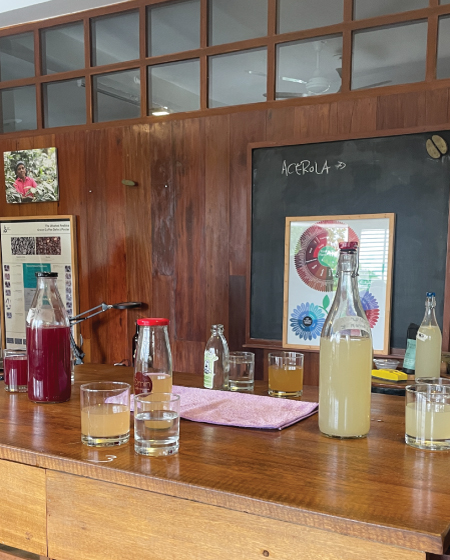 Introduction to Fermented Beverages and Sensory Discovery